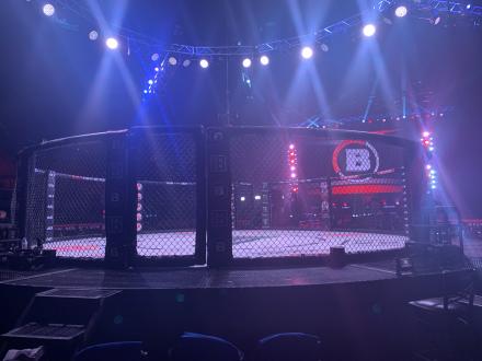 The Bellator cage
