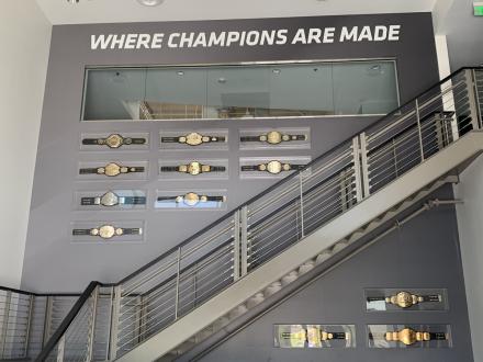 UFC, WEC & Strikeforce titles