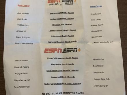 Fight card