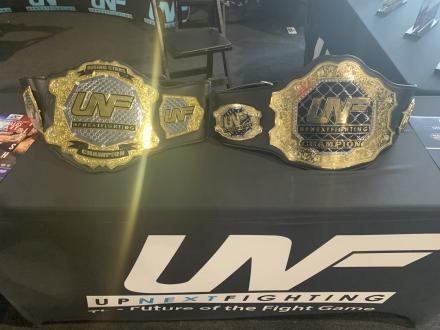 UFC titles