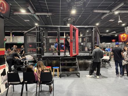 The cage