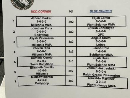 The fight card