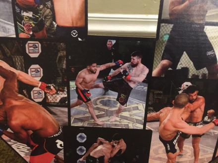 CXF logo collage - Josh Jones 2