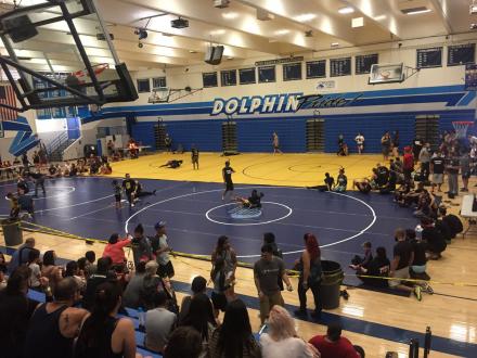 Subfighter No Gi Summer Challenge