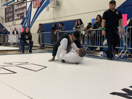 Tameem Hamoui gi match 2